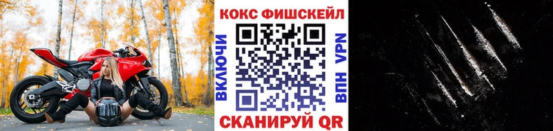 Кокаин Columbia  как найти   Ленинск-Кузнецкий 