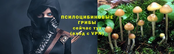 PSILOCYBIN Алексин