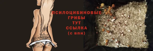 герыч Алзамай