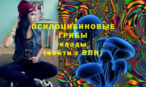 PSILOCYBIN Алексин
